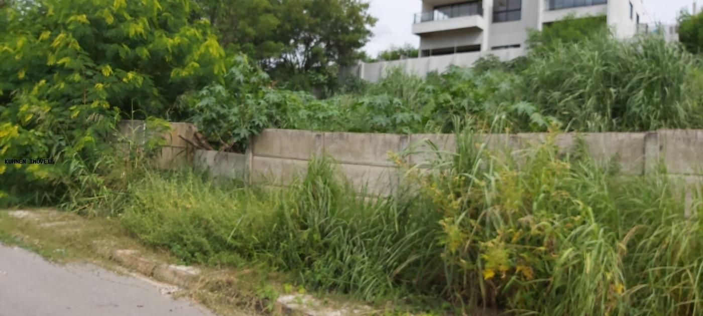 Terreno, 1440 m² - Foto 4