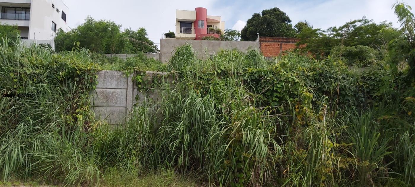 Terreno, 1440 m² - Foto 8