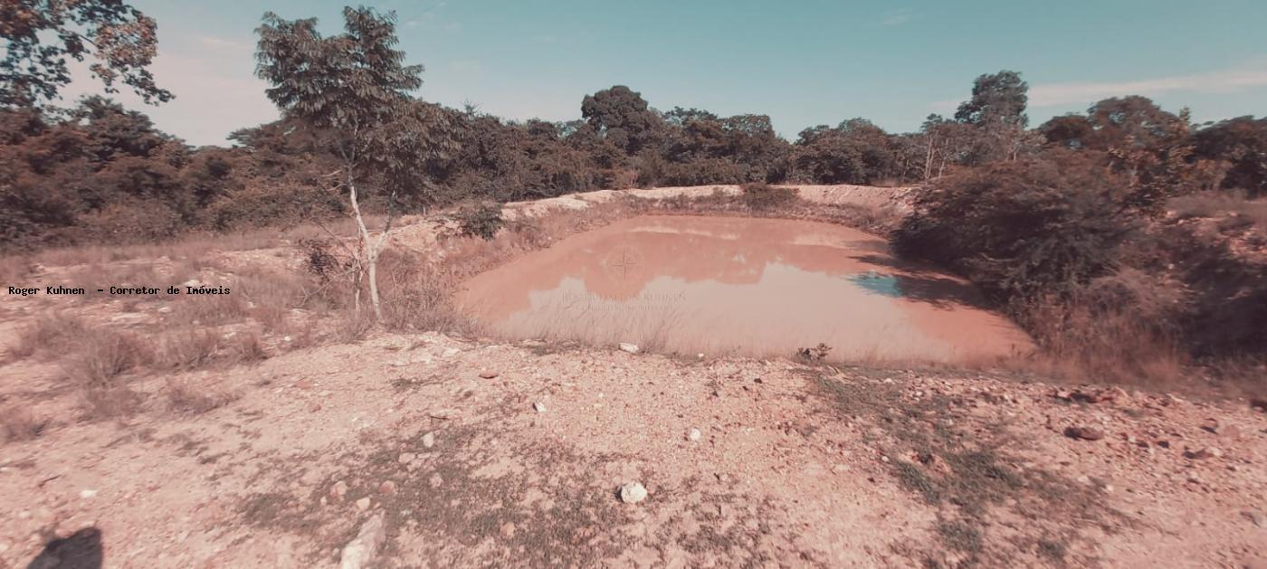 Chácara, 7 hectares - Foto 2