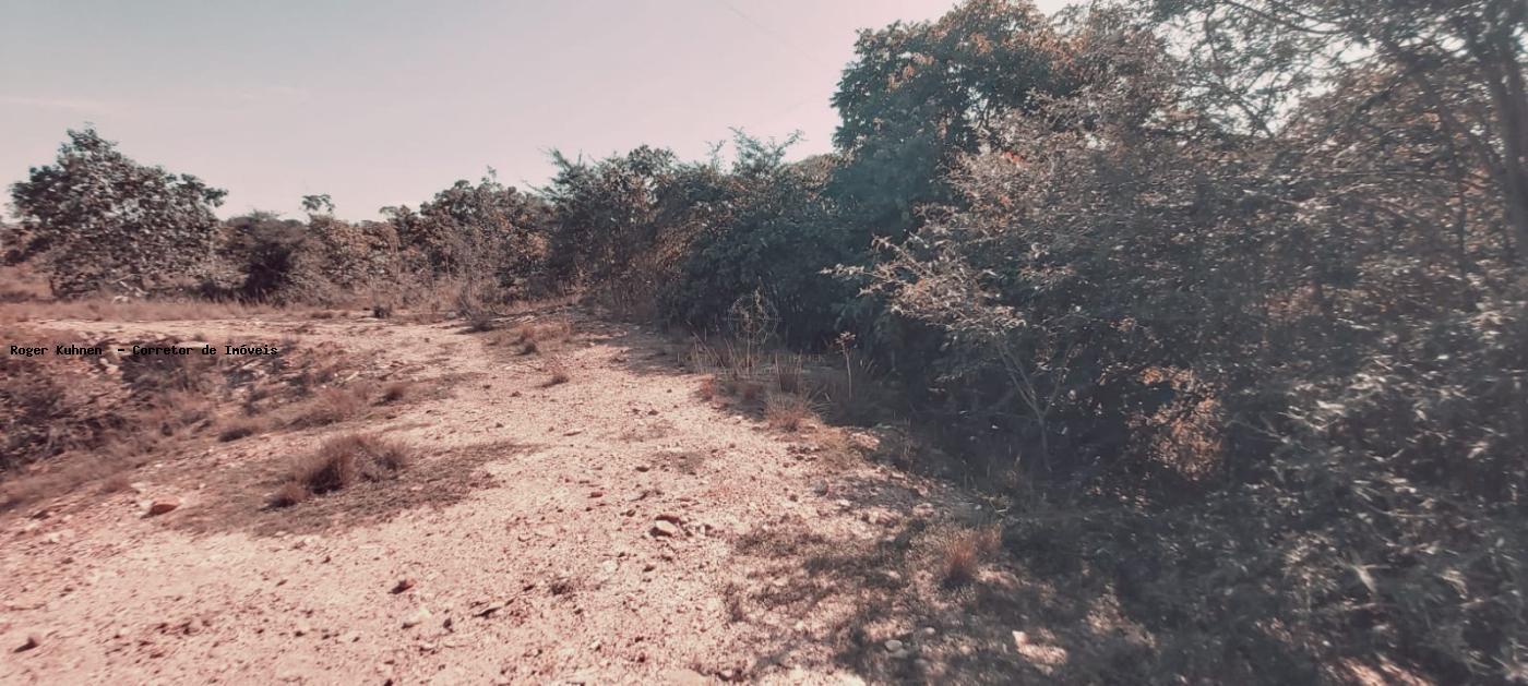 Chácara, 7 hectares - Foto 4