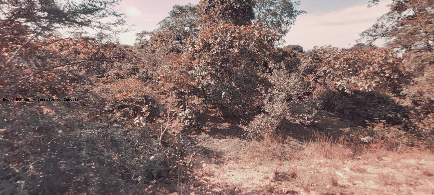 Chácara, 7 hectares - Foto 5