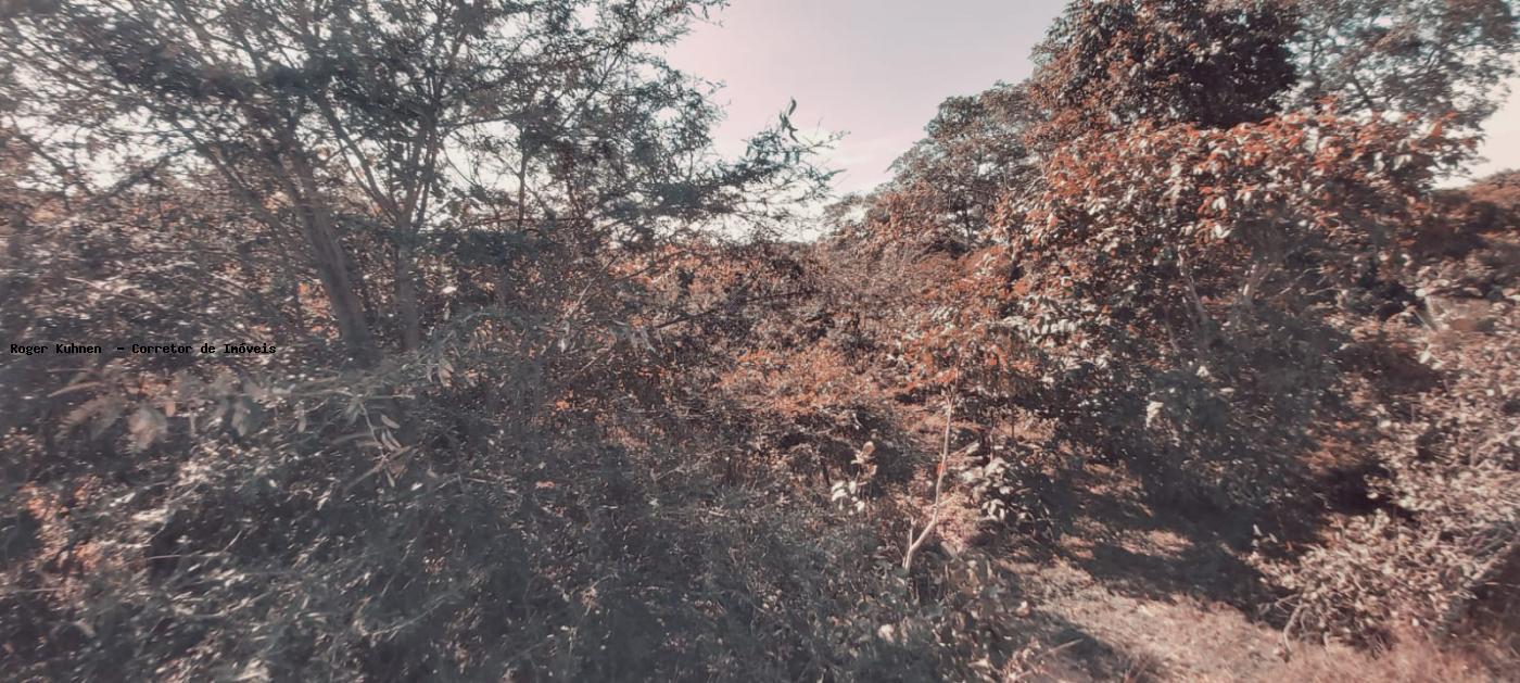 Chácara, 7 hectares - Foto 6