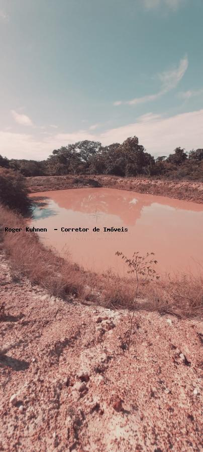 Chácara, 7 hectares - Foto 8