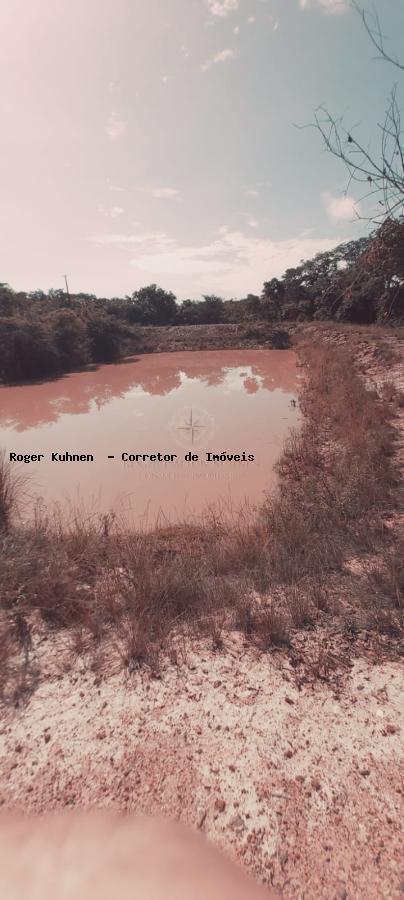 Chácara, 7 hectares - Foto 7