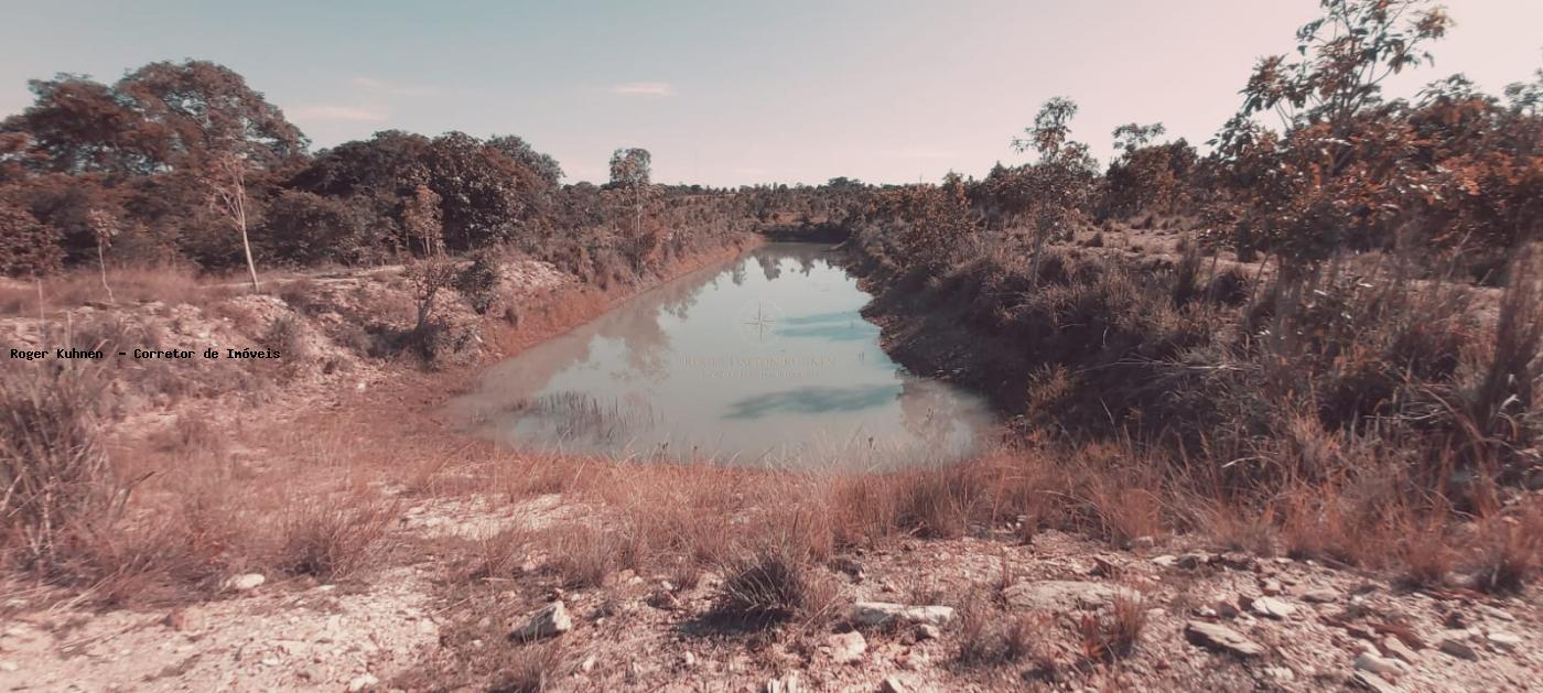 Chácara, 7 hectares - Foto 14