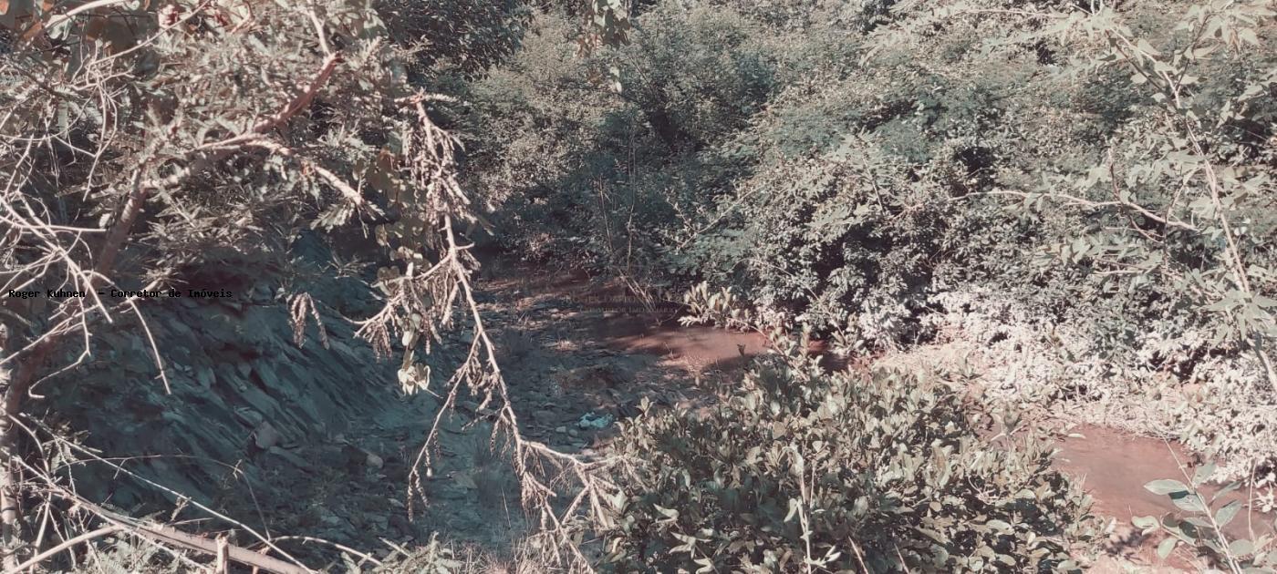 Chácara, 7 hectares - Foto 17