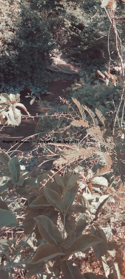 Chácara, 7 hectares - Foto 19