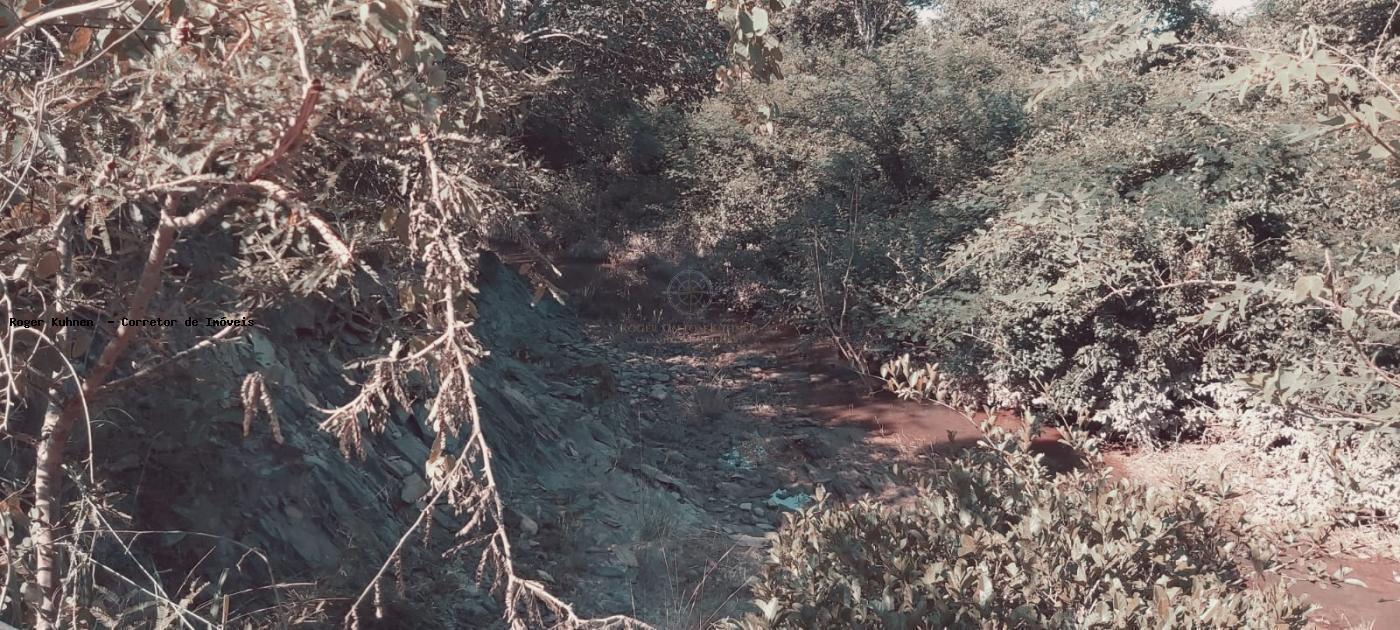 Chácara, 7 hectares - Foto 18