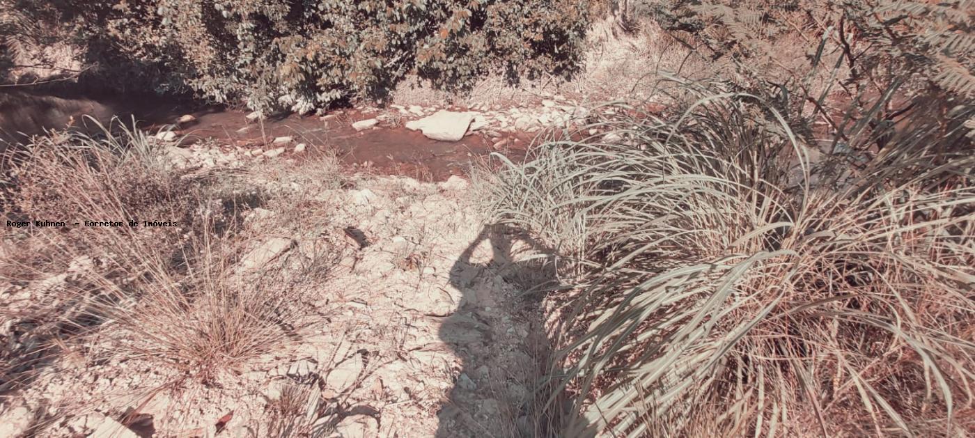 Chácara, 7 hectares - Foto 20