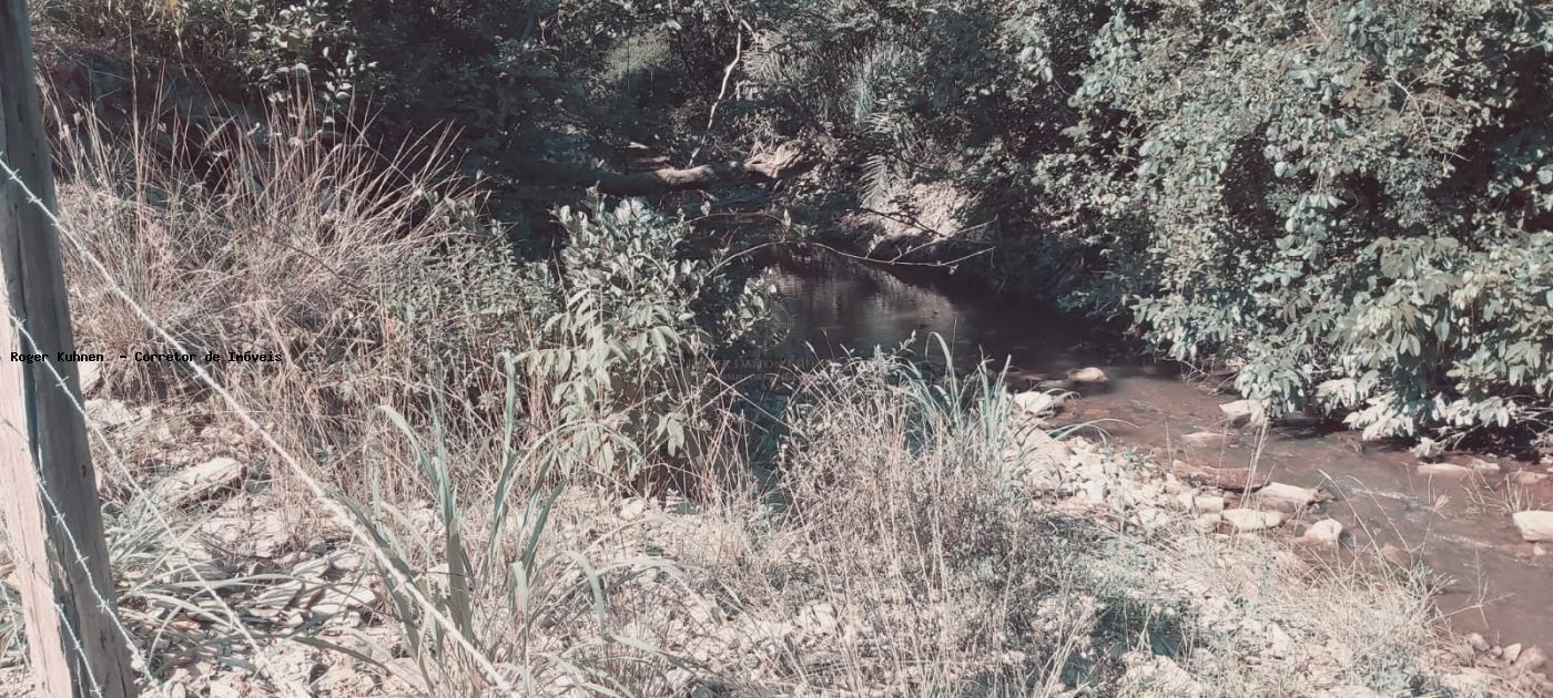 Chácara, 7 hectares - Foto 22