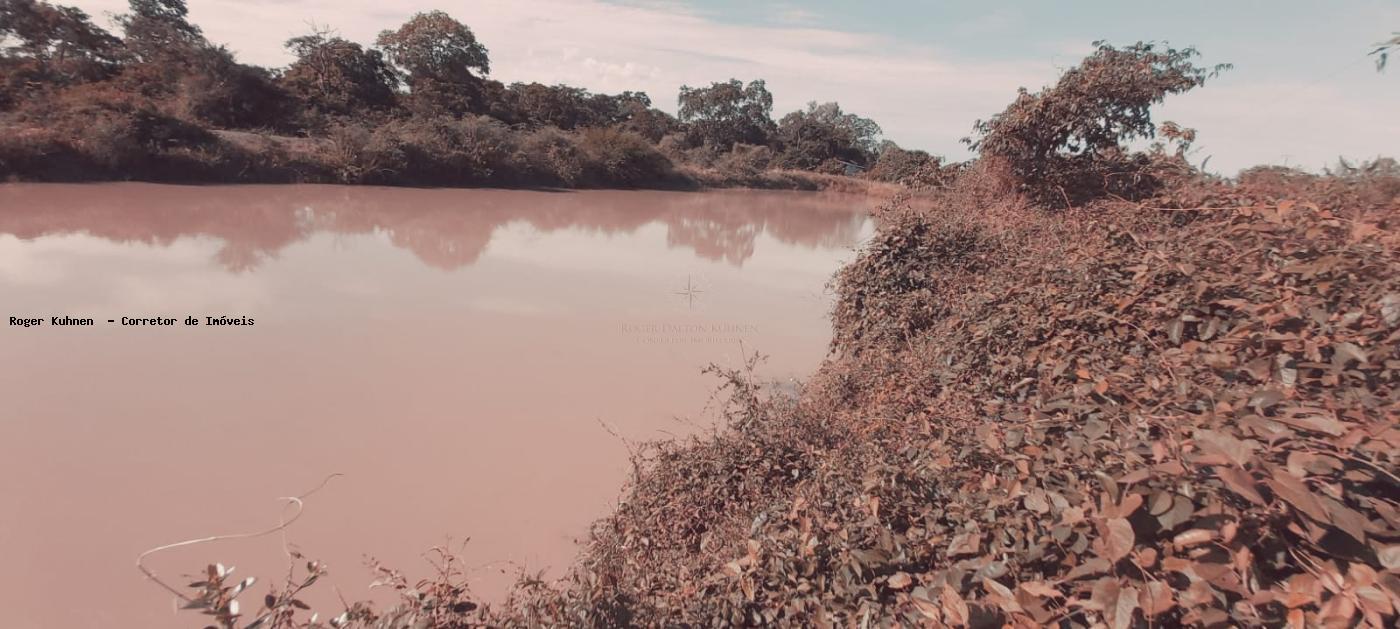 Chácara, 7 hectares - Foto 25