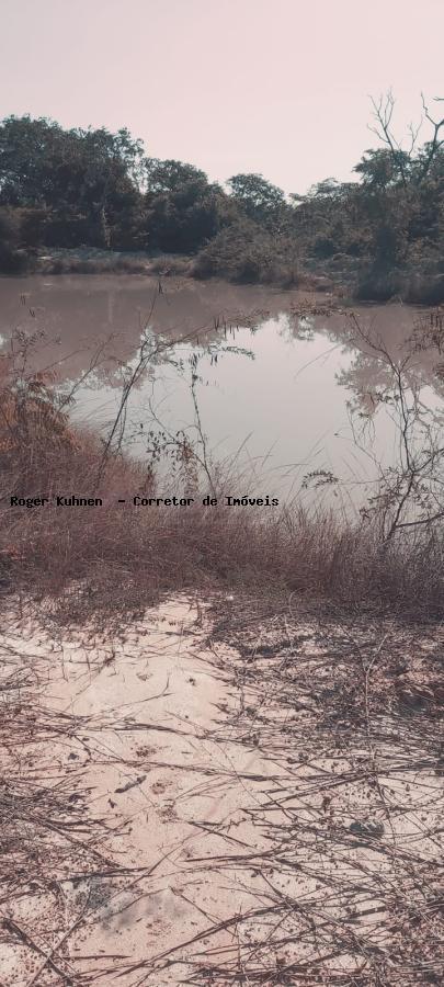 Chácara, 7 hectares - Foto 27