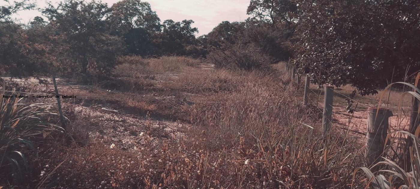 Chácara, 7 hectares - Foto 31