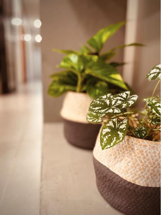 Sala-Conjunto, 11 m² - Foto 22