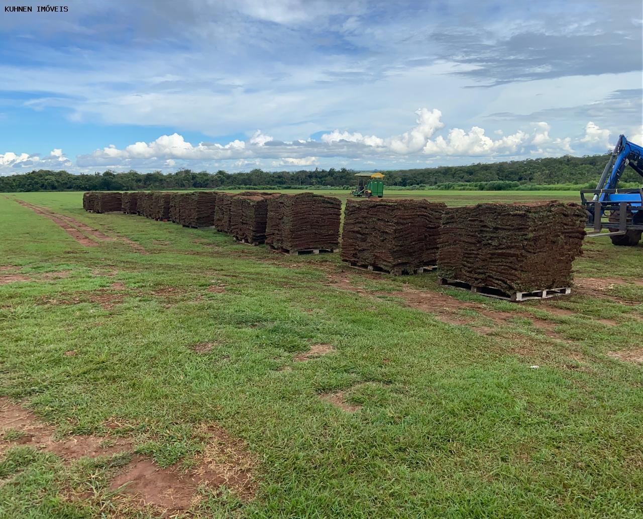 Prédio Inteiro - Foto 3