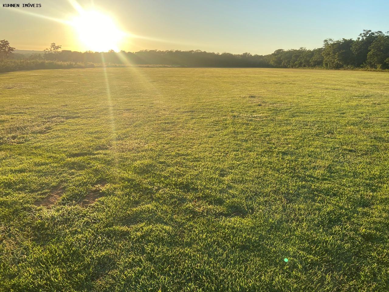 Prédio Inteiro - Foto 4