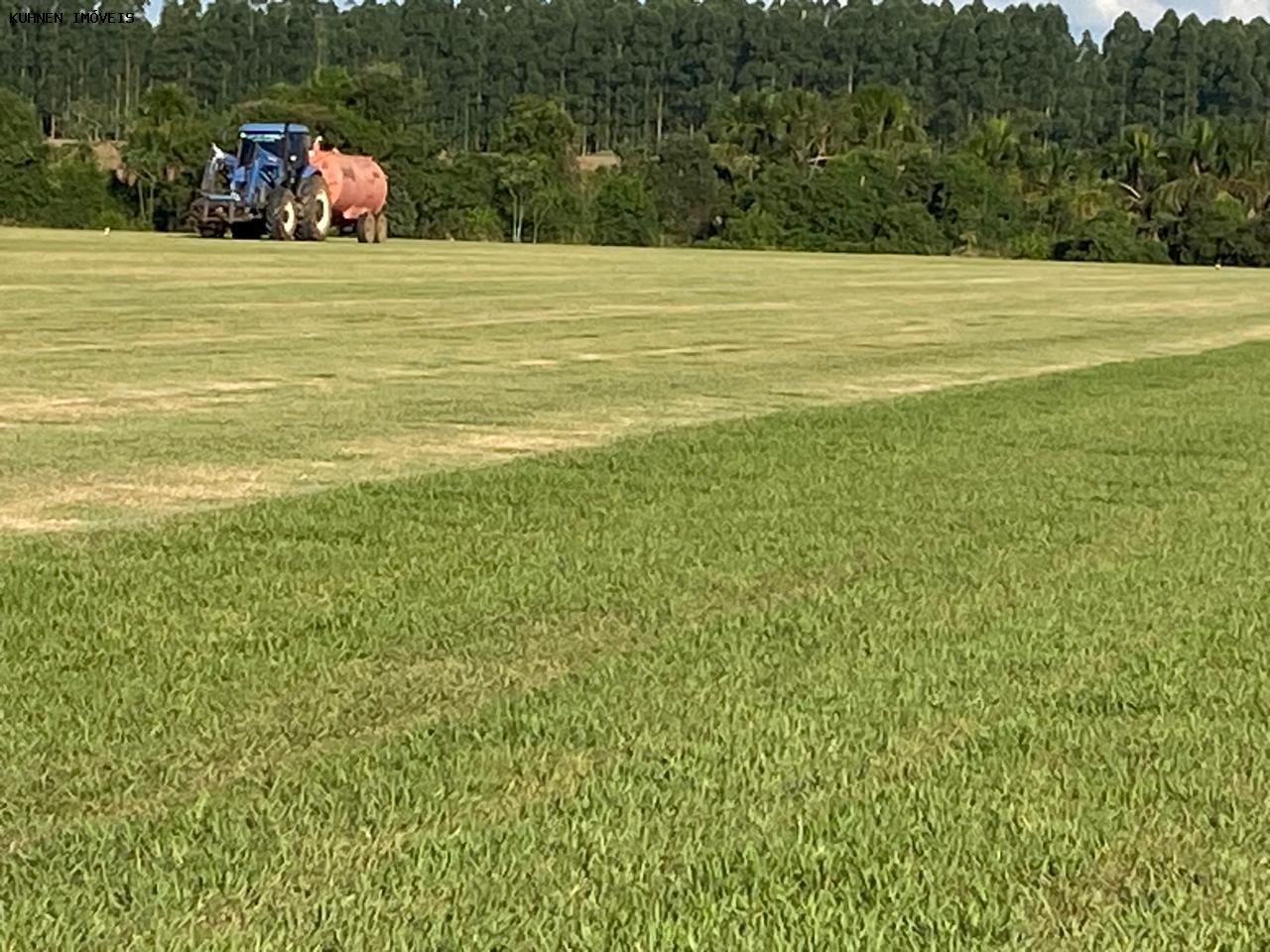 Prédio Inteiro - Foto 7