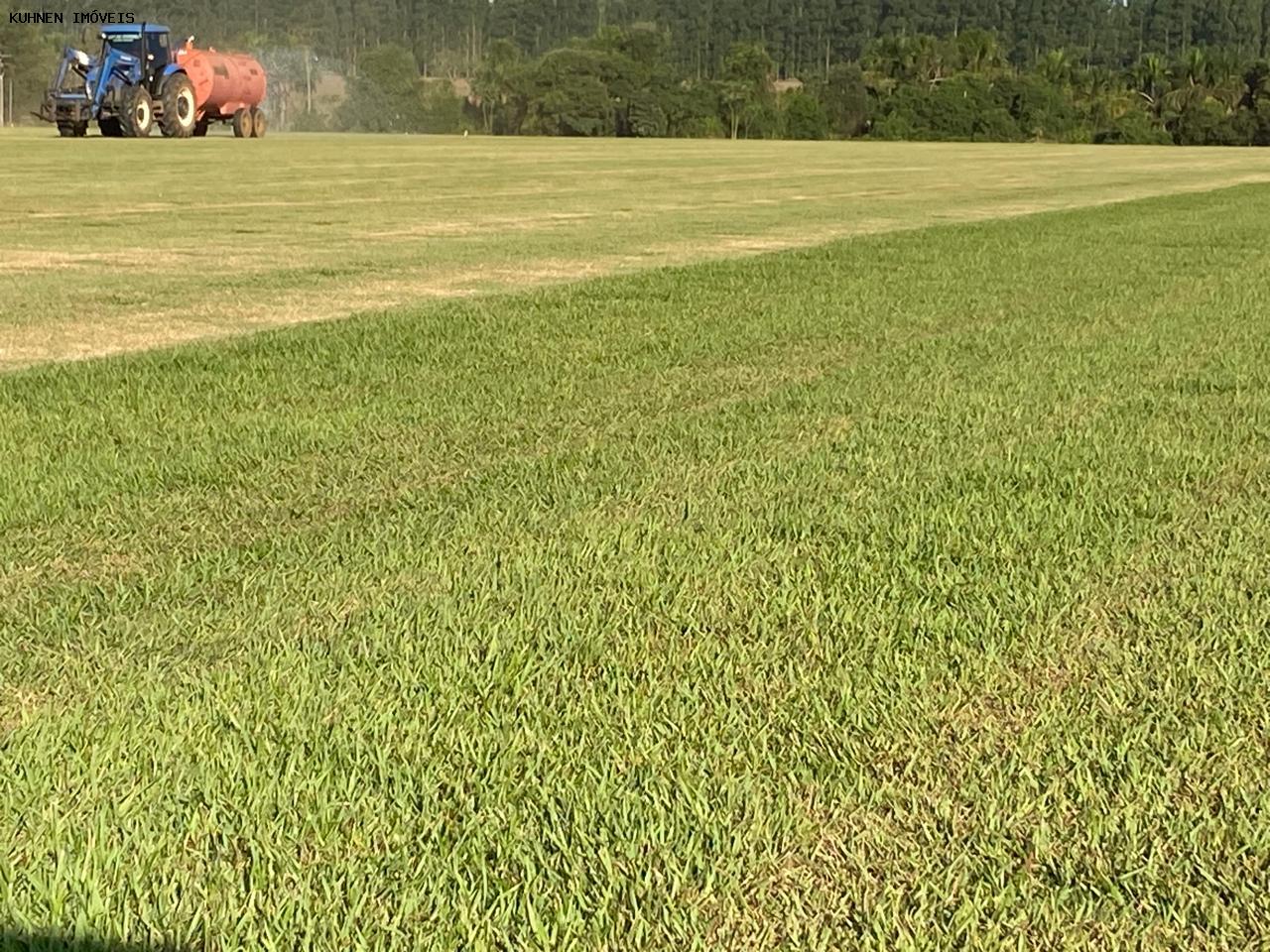 Prédio Inteiro - Foto 14