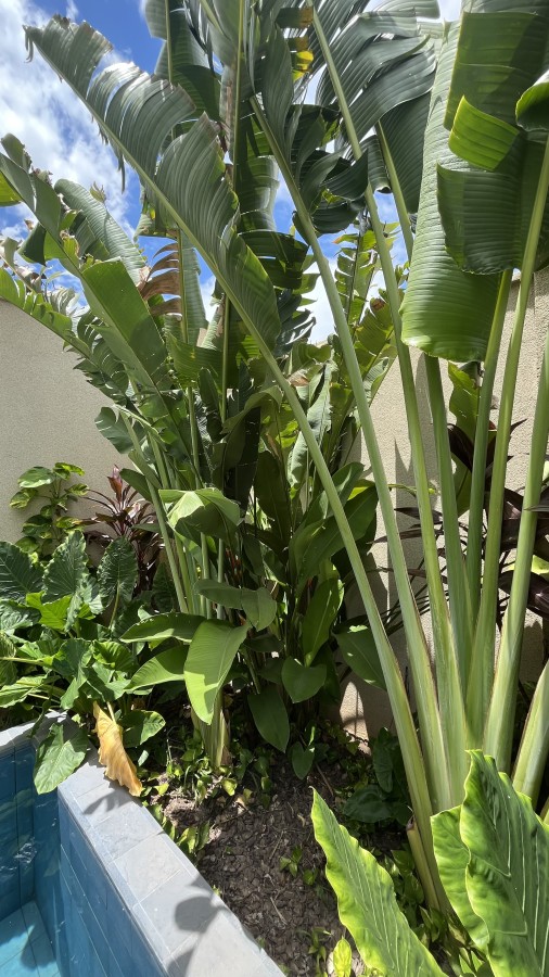 Casa de Condomínio, 3 quartos - Foto 38